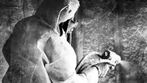 Jasa Foam Insulation Polyurethane Termurah