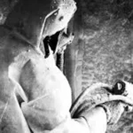 Jasa Semprot Busa Peredam Panas